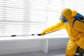 Best Bed Bug Extermination  in Siesta Acres, TX